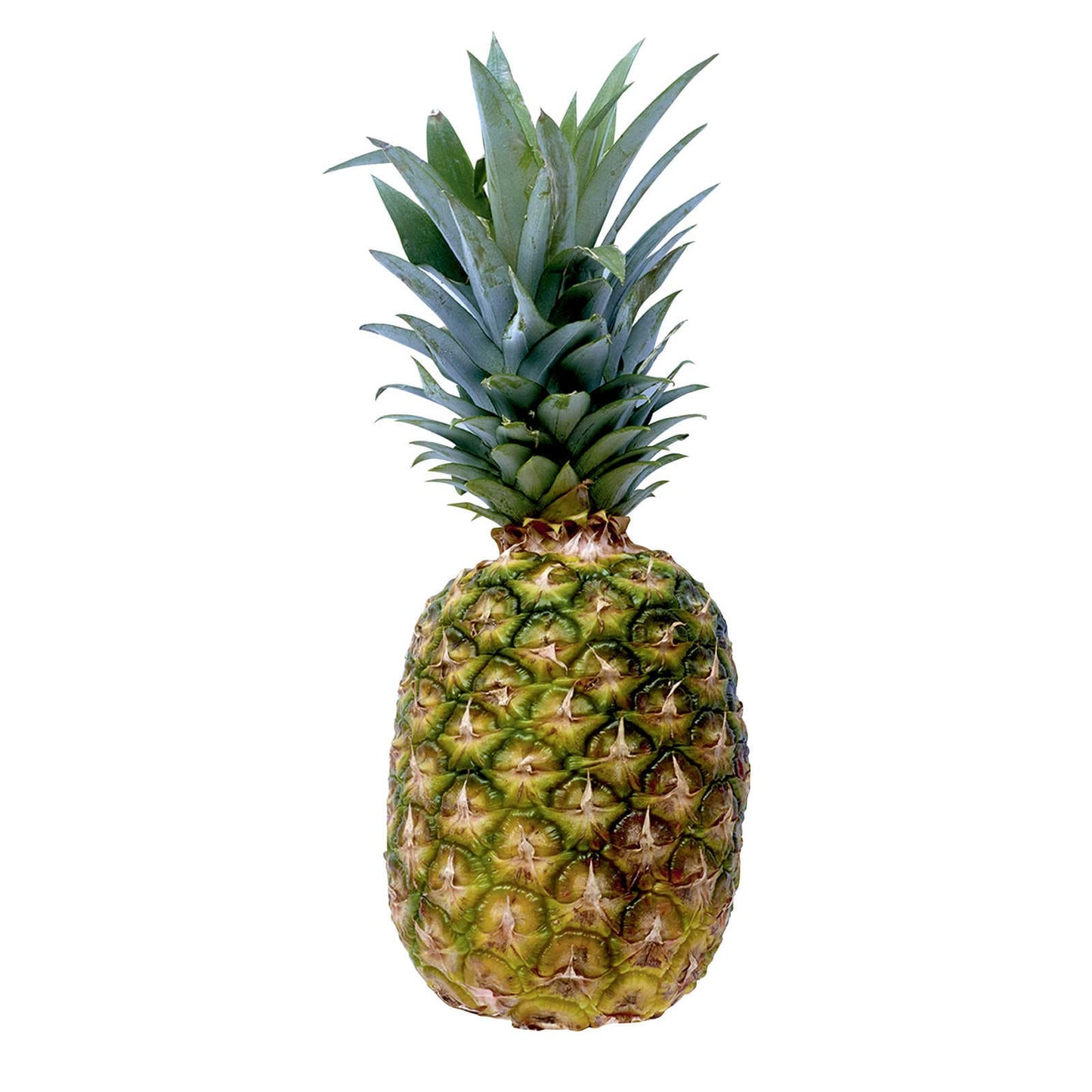 Ananas | 2,60 €/kg | 1,15 kg