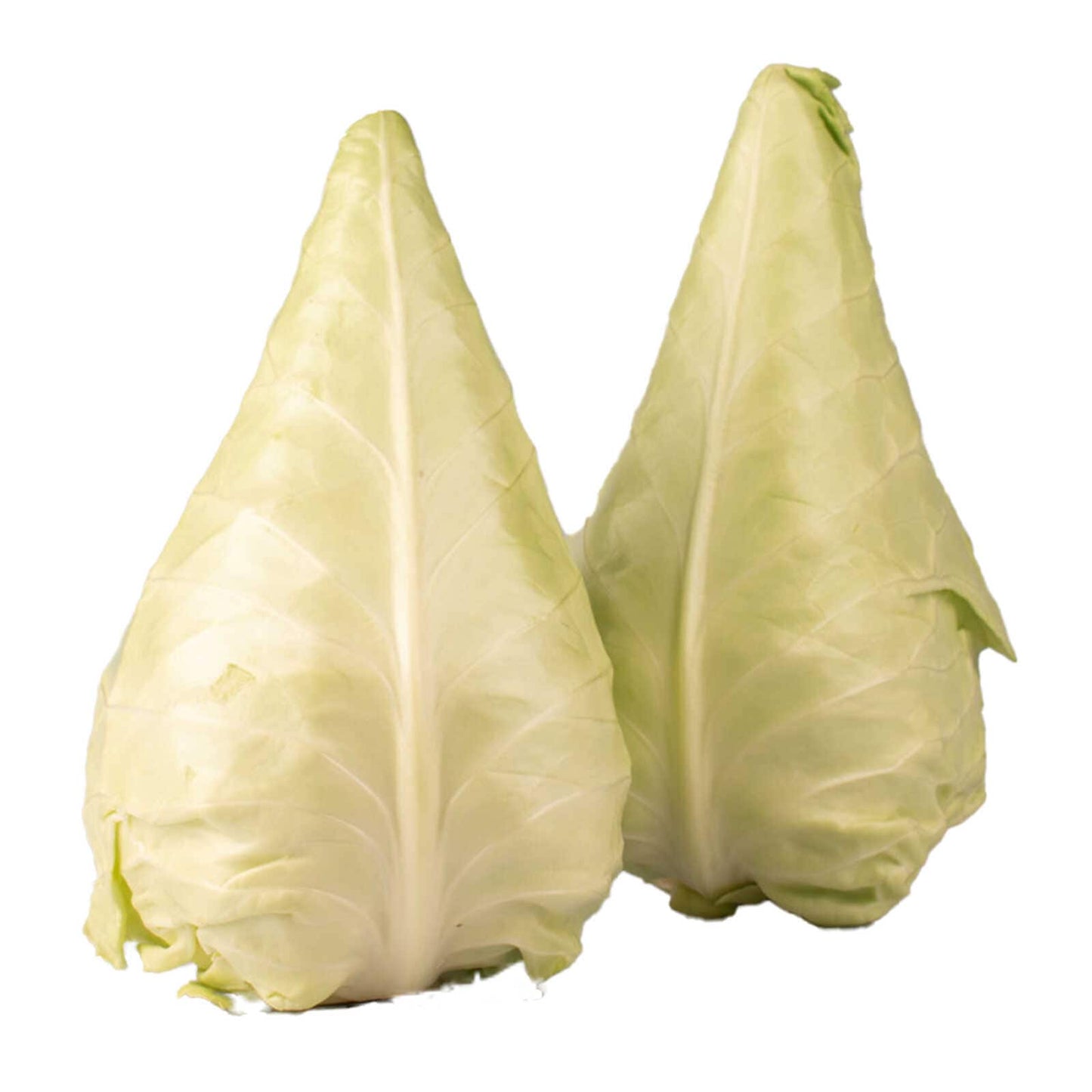 Chou pointu | 2,29 €/pc | 1 pc