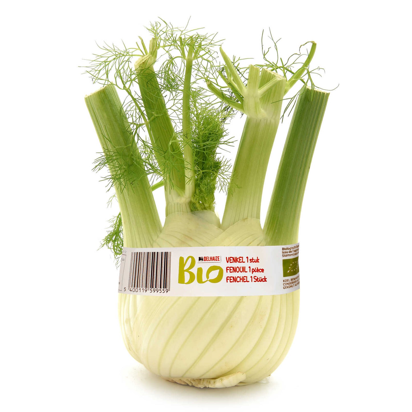 Fenouil | Bio | 14,45 €/kg | 200 gr
