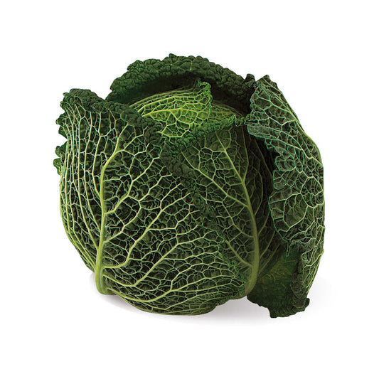 Chou | Vert | 1,99 €/pc | 1 pc