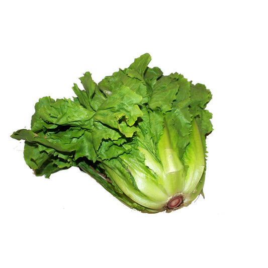 Chicorée endive | 2,49 €/pc | 1 pc