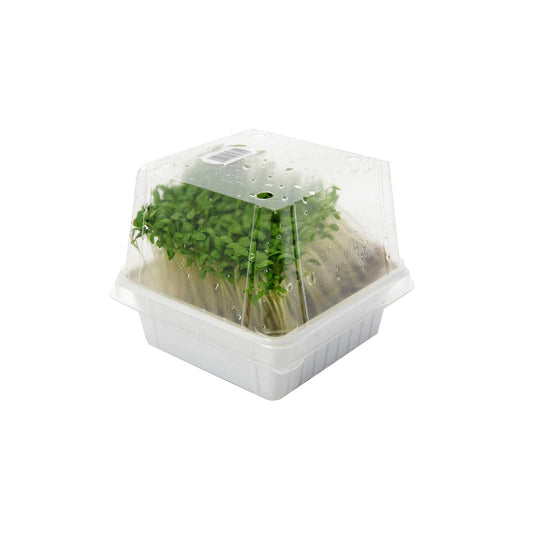 Cressonnette | Feutre | 10,90 €/kg | 100 gr