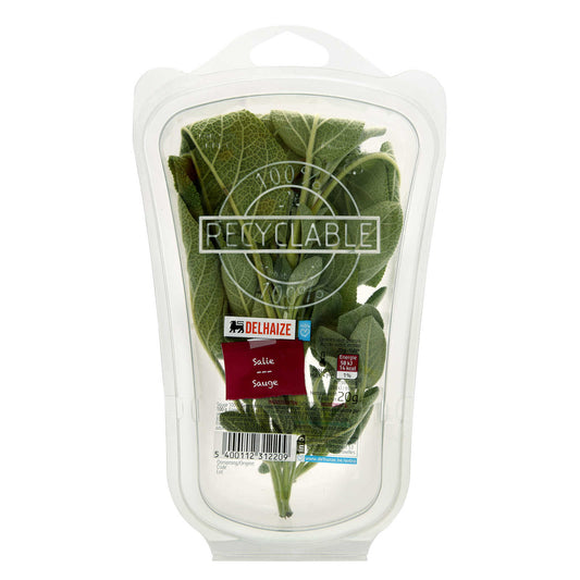 Sauge | Emballé | 89,50 €/kg | 20 gr