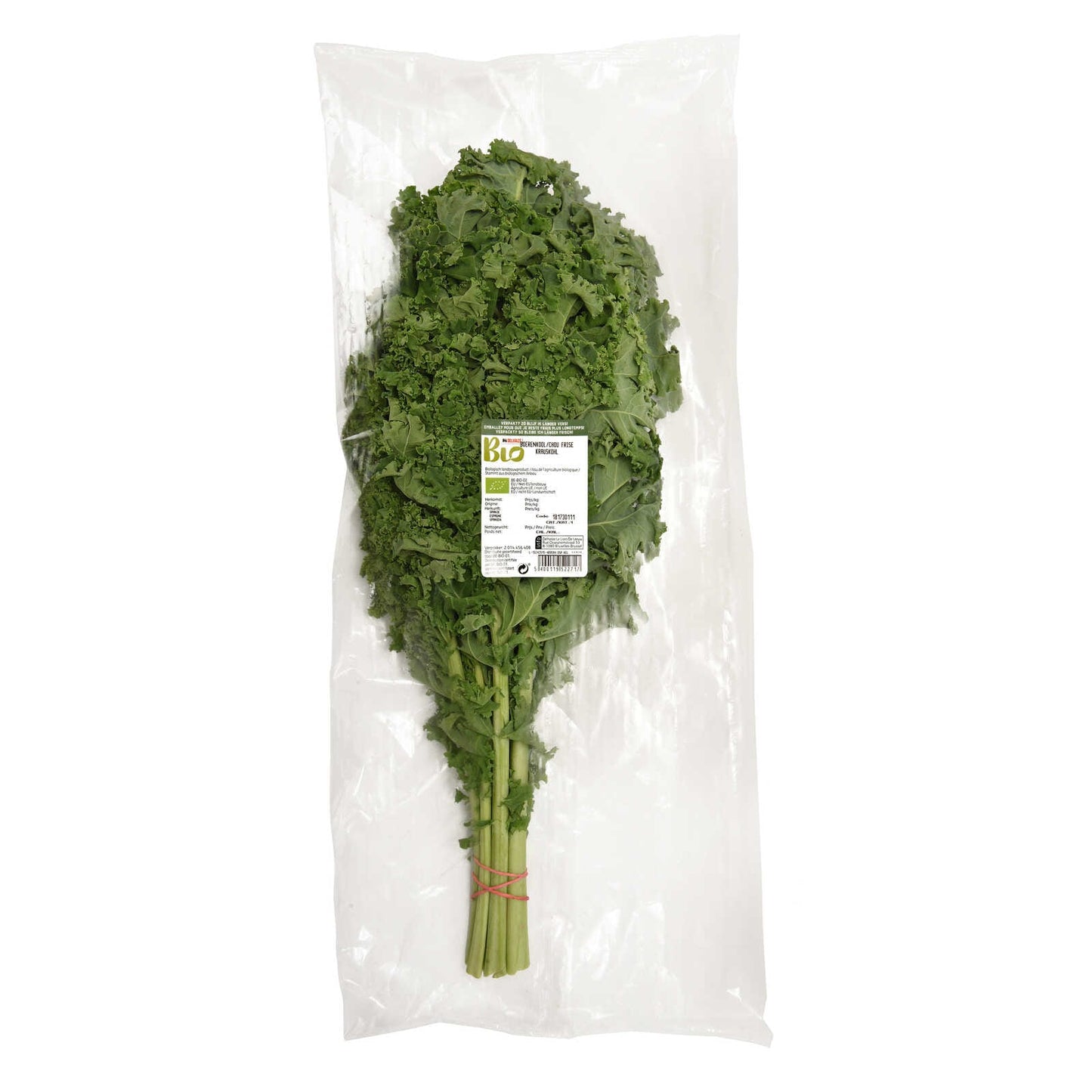 Chou frisé | Bio | 5,99 €/pc | 1 pc